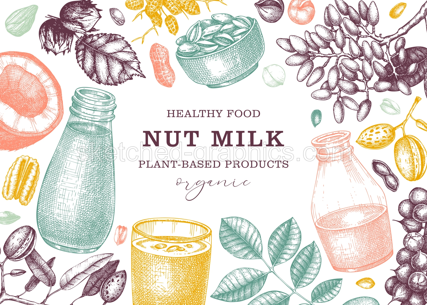 Vegetarian food background. Dairy products banner design. Print template with plant milk in glass, bottle, almond, pecan, coconut, pistachio. Healthy drink, nut milk vector sketches in color Illustration
